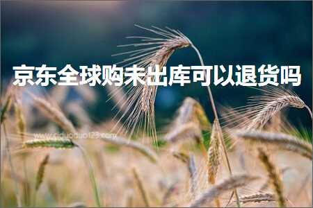 林芝网站推广 跨境电商知识:京东全球购未出库可以退货吗